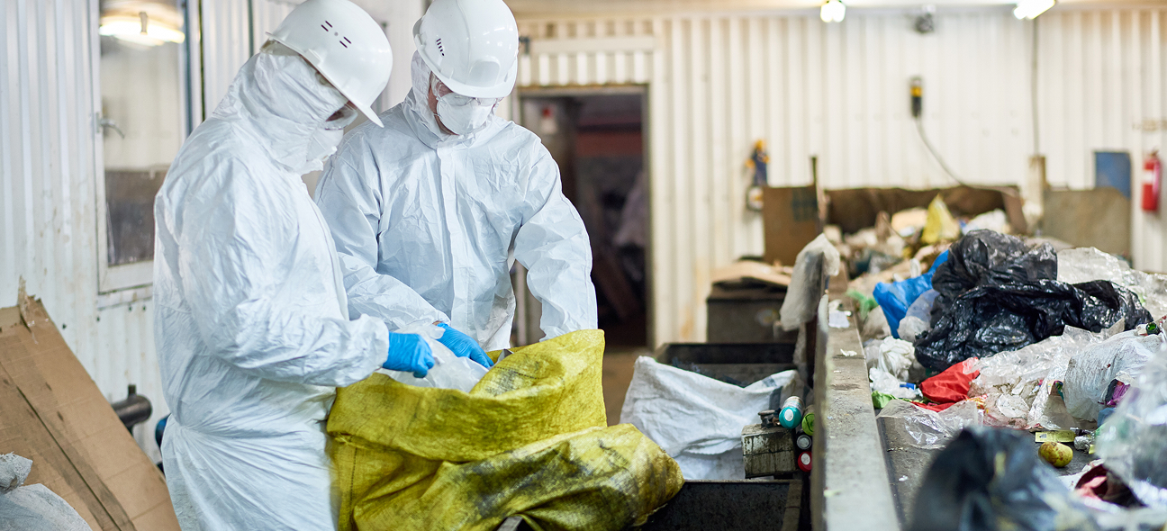 ZWL Expected Outcomes