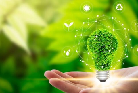 Steps to ISO 14001 Certification ISO 14000