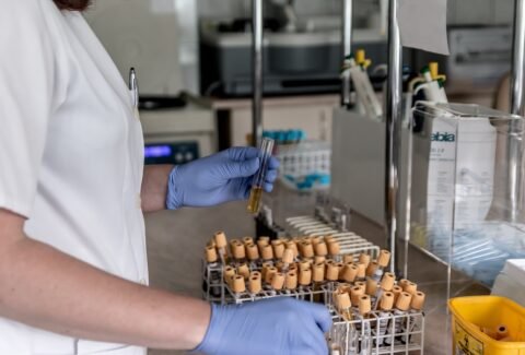 Food Safety Certification authenticates the food business by implementing healthy practices ensuring optimal safety and quality.