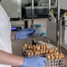 How To Choose The Right Food Safety Certification For Your Business 3 How To Choose The Right Food Safety Certification For Your Business?